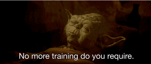 Every well-trained agent begins with a mentor