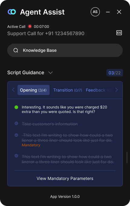 Agent Assist script guidance