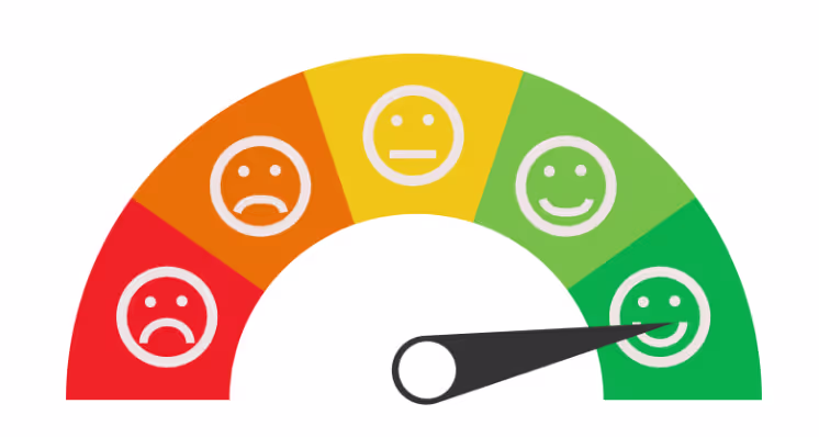 Customer Satisfaction Score