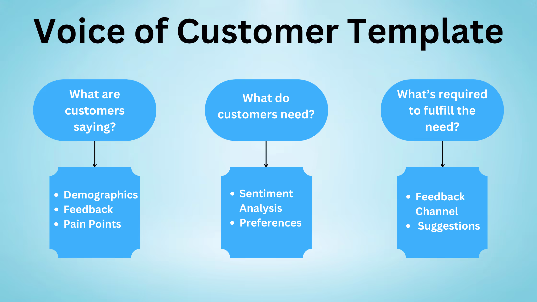 Sections of Voice of Customer to analyze better